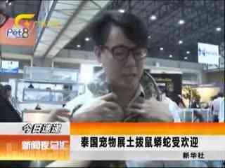 国产最强蜈蚣是谁啊视频,谁是视频中的佼佼者？