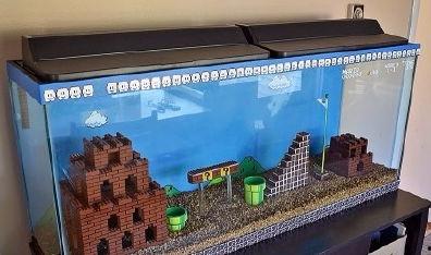 国产拼装积木鱼缸视频,创意无限，打造个性化水族世界