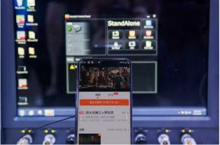 8啦视频国产,国产生态下的短视频盛宴