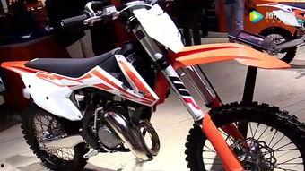 国产飞鹰测评视频大全,性能解析与实战体验全收录