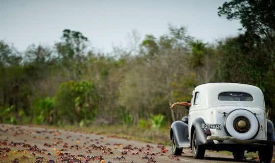 国产螃蟹走车视频大全  第2张