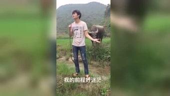 被窝国产福利视频在线,揭秘国内热门影视作品背后的故事  第1张