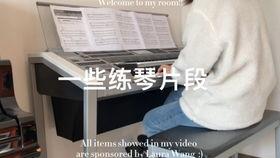 国产双排键操作视频,轻松入门,体验音乐魅力 第2张 国产双排键操作视频,轻松入门,体验音乐魅力 第2张