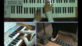 国产双排键操作视频,轻松入门,体验音乐魅力 第3张 国产双排键操作视频,轻松入门,体验音乐魅力 第3张