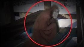 老外看国产幽灵视频,老外视角下的神秘现象解析  第1张