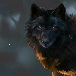 国产魔界黑狼视频大全,国产奇幻巨制视频大全精彩回顾  第3张