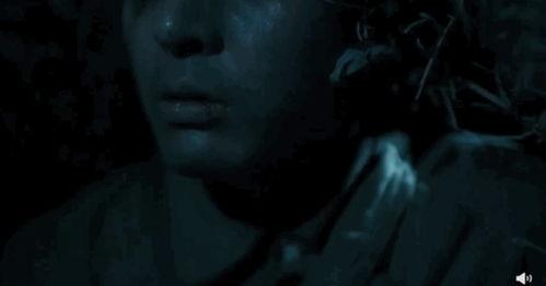 九 一 视频 国产,九一视频引领国产影视新潮流  第2张