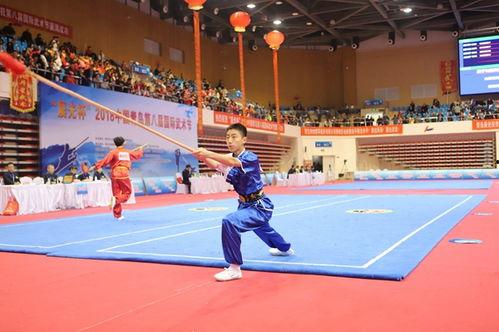 国产武术比武视频大全 第3张 国产武术比武视频大全 第3张