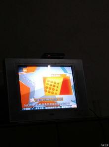 小强实验室国产极光视频  第2张