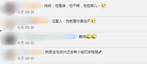 国产盗取网络监控视频,技术手段与防范策略  第2张