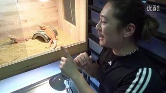 国产搬运工视频在线播放,揭秘线上搬运工生活，带你走进真实工作现场  第3张